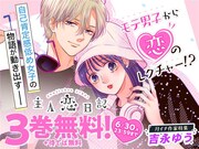 「主人恋日記」バナー