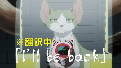 TVアニメ「ニャイト・オブ・ザ・リビングキャット」メインPVより