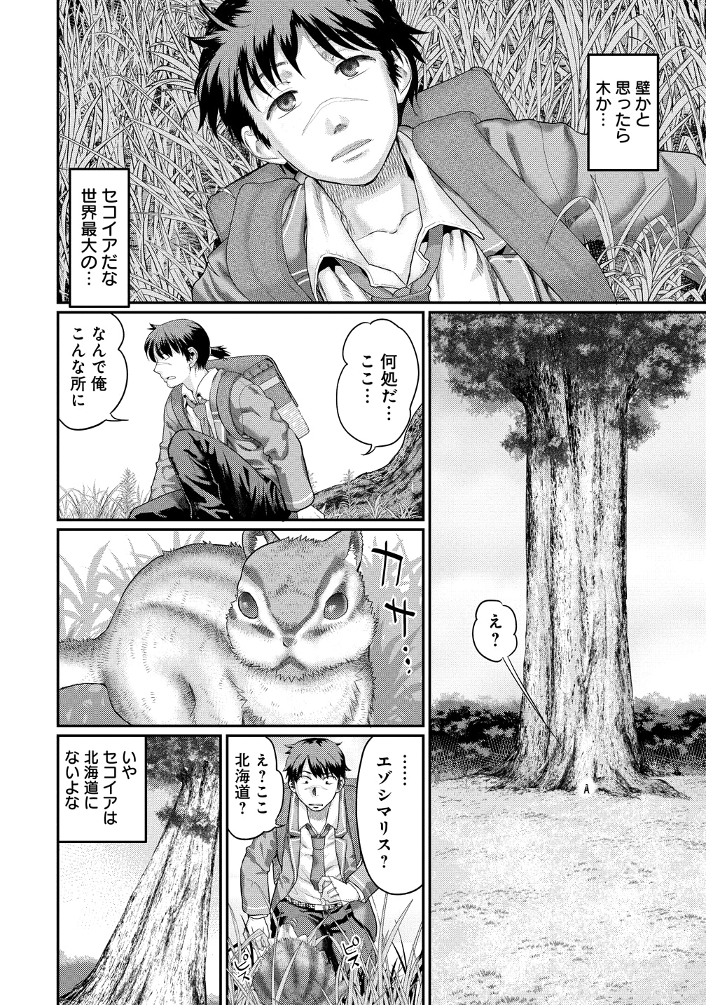 「俺だけ余裕の異世界サバイバル ～転移先の無人島で楽しむハーレムライフ～」より