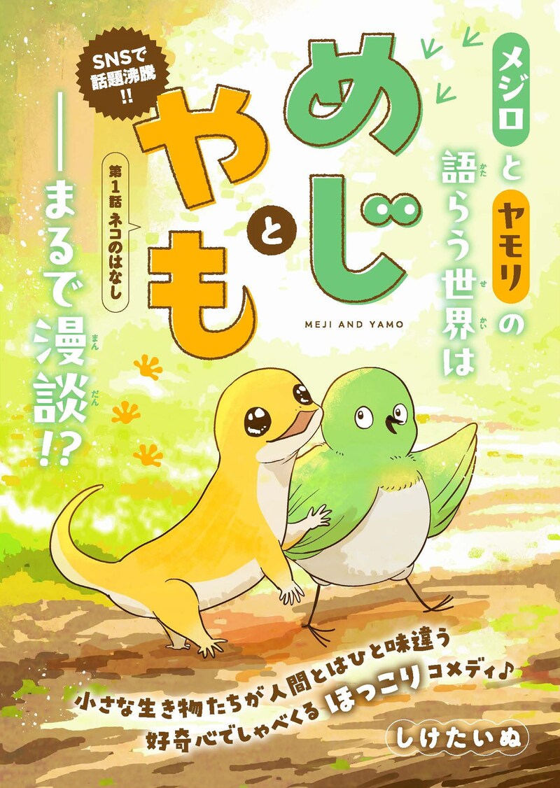 「めじとやも」ビジュアル