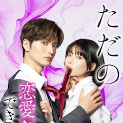オフィスラブ「ただの恋愛なんかできっこない」ドラマ化、山本涼介&葵うたのが出演