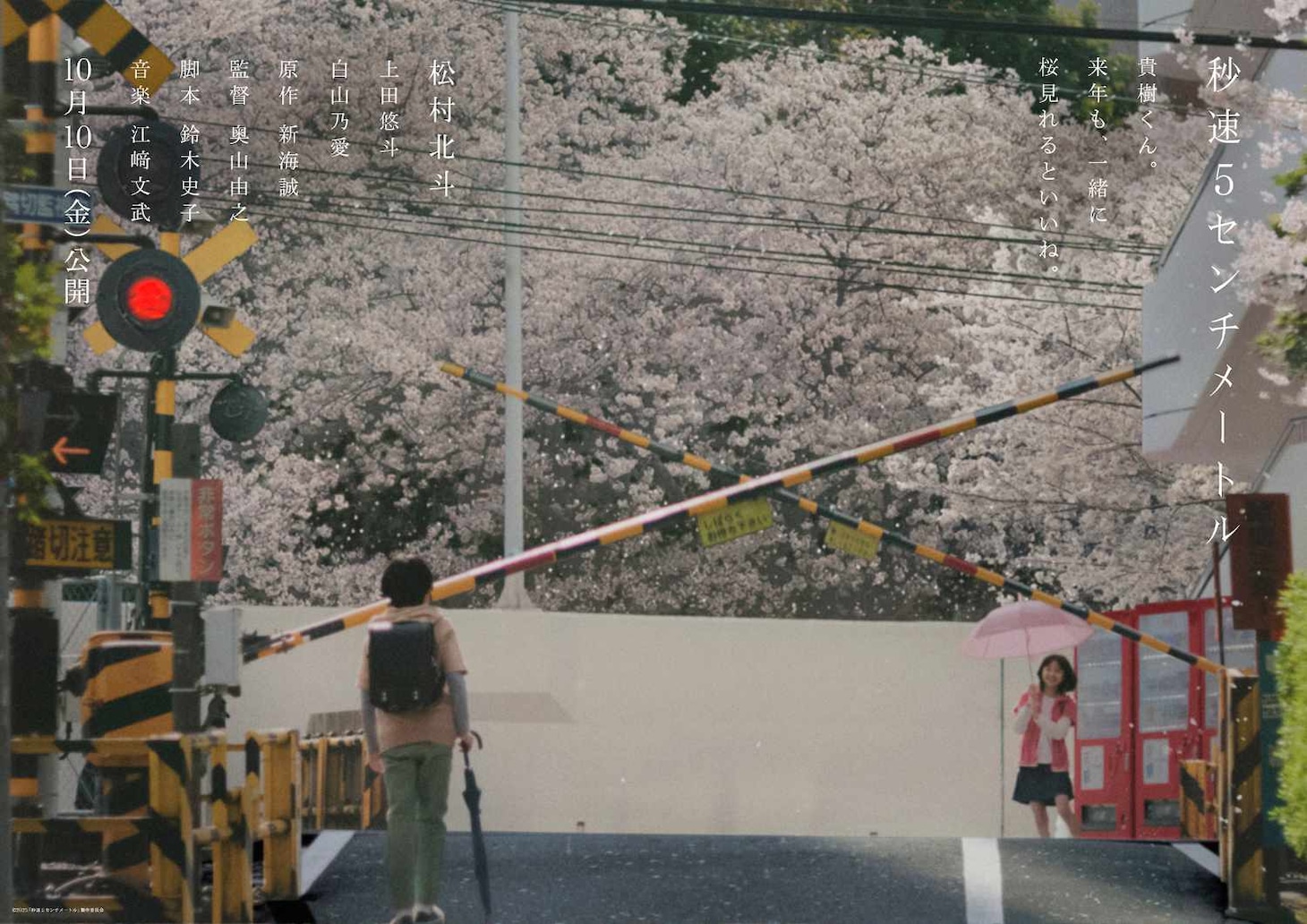 実写映画「秒速5センチメートル」ティザービジュアル第2弾 (c)2025「秒速5センチメートル」製作委員会