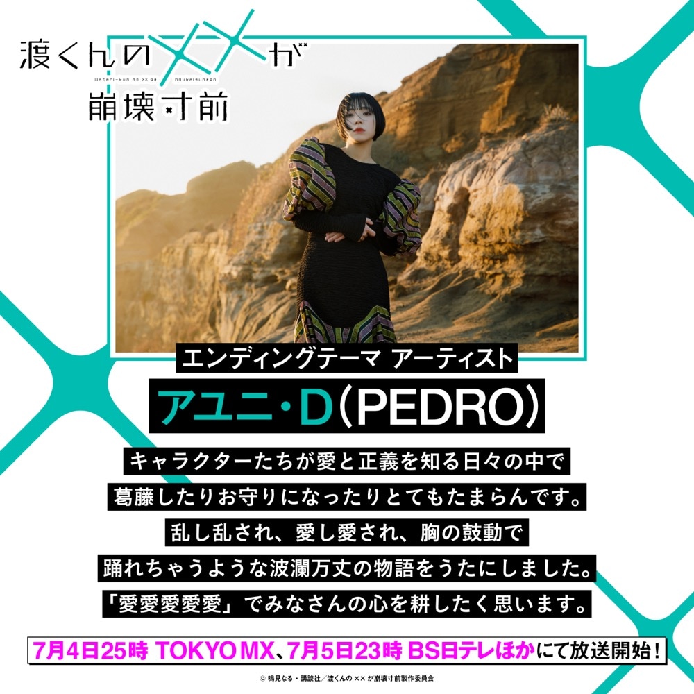 PEDROコメント