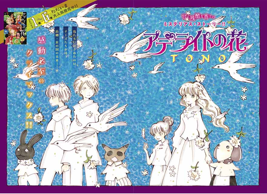 「アデライトの花」巻頭カラー