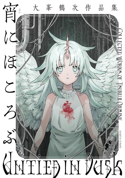 「宵にほころぶ 大峯鶴次作品集」