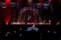 「剣爛業火」のパフォーマンスの様子