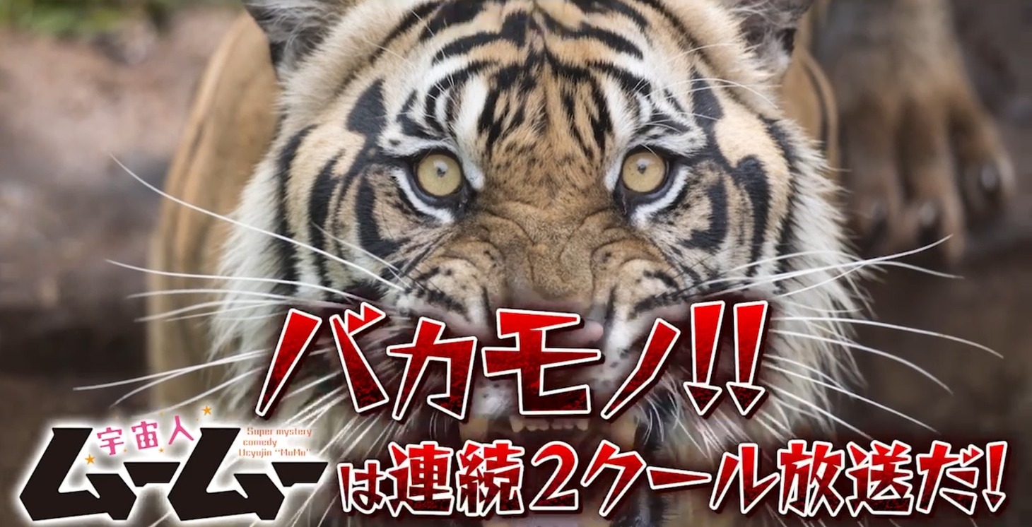 TVアニメ「宇宙人ムームー」第3弾PVより