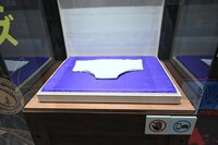 邪視のブリーフ