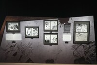 「Zone3―ヒーローと敵〈ヴィラン〉、最後の戦い。」より (c)堀越耕平／集英社