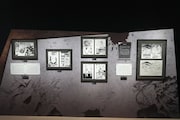 「Zone3―ヒーローと敵〈ヴィラン〉、最後の戦い。」より (c)堀越耕平/集英社