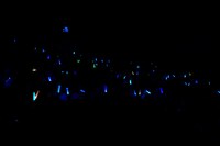 「劇場版総集編 呪術廻戦 懐玉・玉折」応援上映の様子