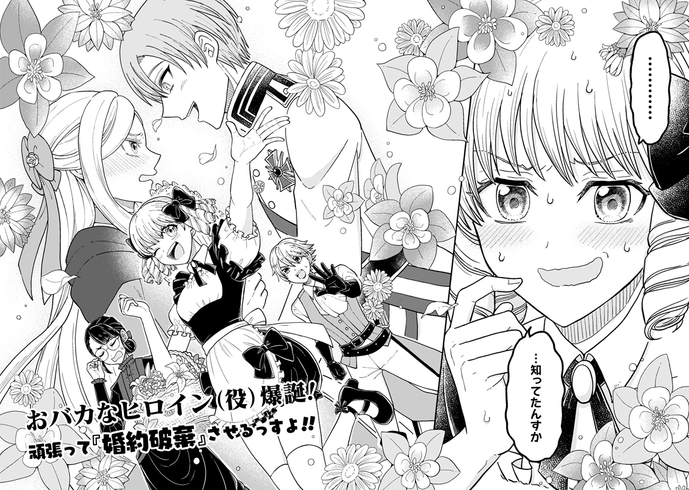 「女王陛下の特命令嬢リリス・バレンタイン～『ハートの女王』と呼ばれる高慢令嬢が婚約破棄しようと王子をたぶらかすヒロインをスカウトしたら、よりによってとびっきりのバカが来た～」より