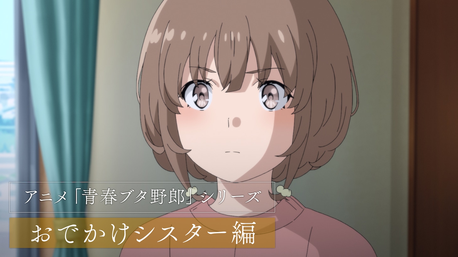 「青春ブタ野郎はおでかけシスターの夢を見ない」総集編のサムネイル画像