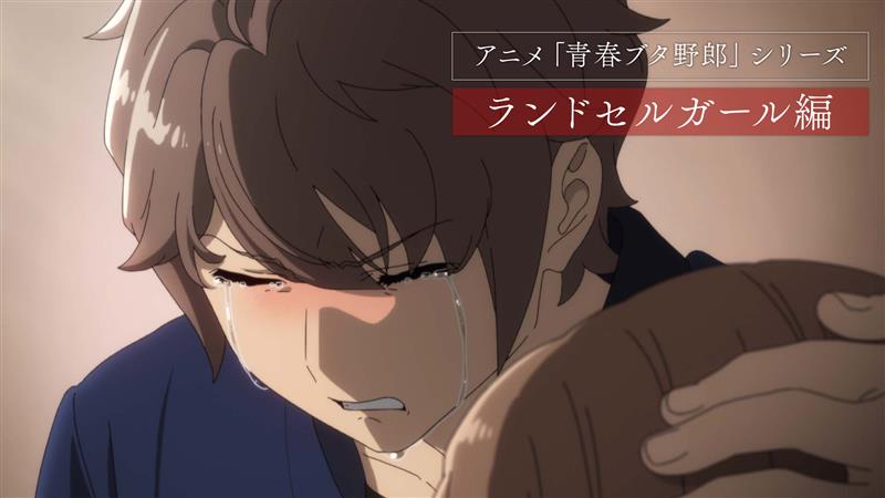 「青春ブタ野郎はランドセルガールの夢を見ない」総集編のサムネイル画像