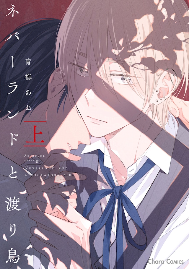「ネバーランドと渡り鳥」上巻