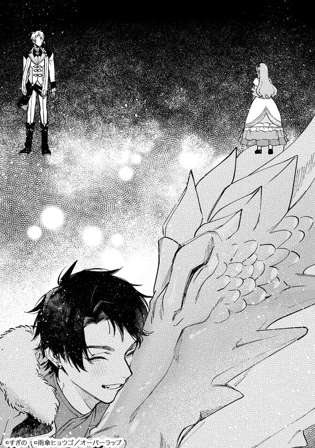 「ウィズレイン王国物語～竜が花嫁～」より