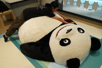 フォトスポット