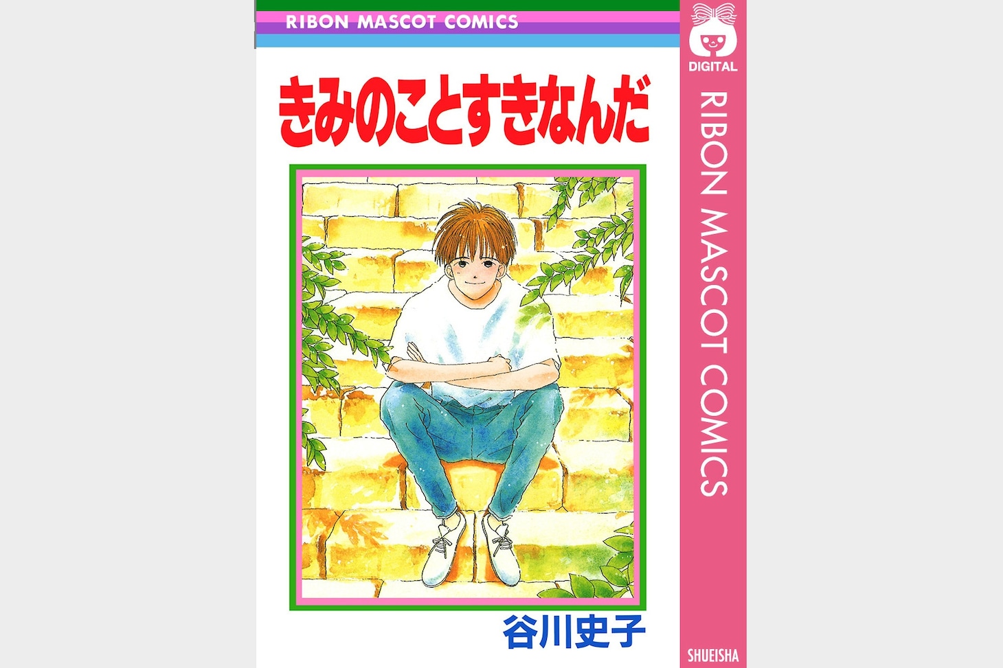 「きみのことすきなんだ」(c)谷川史子/集英社