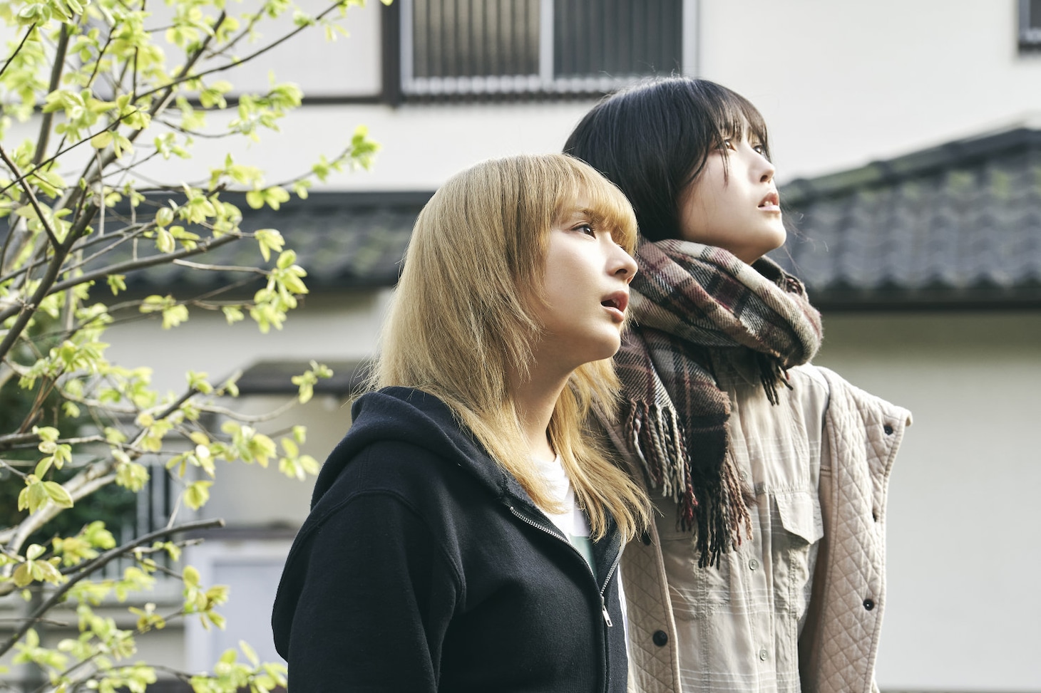 映画「ネムルバカ」場面写真