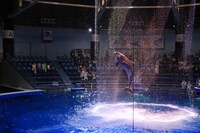 ドルフィンパフォーマンスの様子