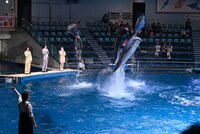 ドルフィンパフォーマンスの様子。左から太田駿静、鈴鹿央士、山田杏奈