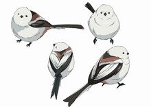 シマエナガ（CV：大谷育江） (c)野田サトル／集英社・ゴールデンカムイ製作委員会