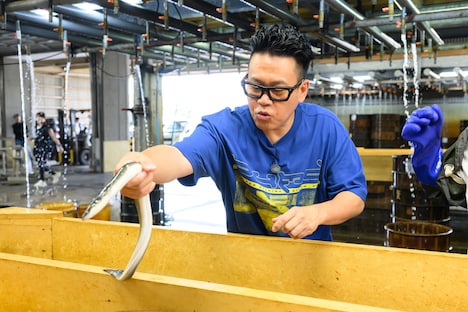 「満天☆青空レストラン」より、宮川大輔