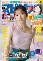 週刊ビッグコミックスピリッツ33号