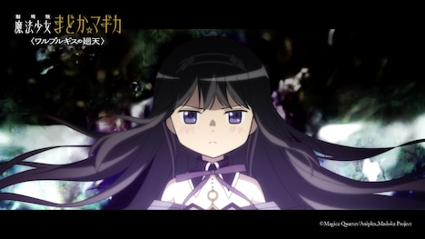 「劇場版 魔法少女まどか☆マギカ〈ワルプルギスの廻天〉」予告より