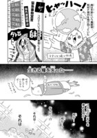 「98万円で温泉の出る築75年の家を買った」より