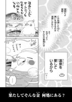 「98万円で温泉の出る築75年の家を買った」より