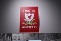 再現されたプレート