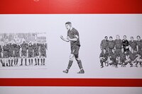 安田剛士描き下ろしイラスト