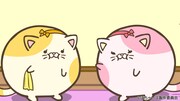 左からぽちゃ姉ネコ、ぽちゃ妹ネコ (c)ぽちゃーズ製作委員会