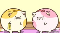 左からぽちゃ姉ネコ、ぽちゃ妹ネコ (c)ぽちゃーズ製作委員会