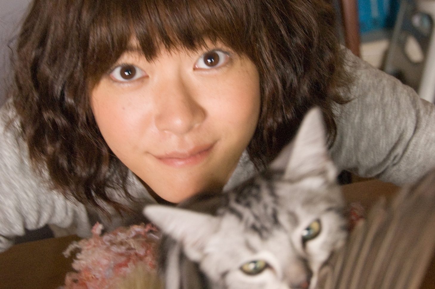 「グーグーだって猫である」より (c) 2008 「グーグーだって猫である」 フィルム・コミッティ