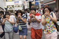 「グーグーだって猫である」より (c) 2008 「グーグーだって猫である」 フィルム・コミッティ