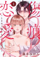 「傷痕恋愛～ときめく胸がないとしても～」ビジュアル