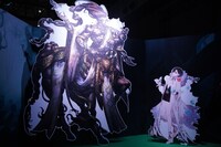 「ミステリアス・フォレスト」