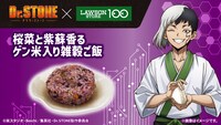 「桜菜と紫蘇香るゲン米入り雑穀ご飯」