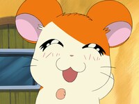 「とっとこハム太郎」に登場するハム太郎