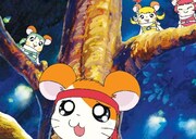 「とっとこハム太郎」OVA作品