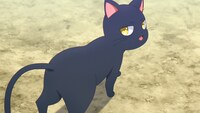 TVアニメ「黒猫と魔女の教室」ティザーPVカット
