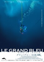 映画「グラン・ブルー 完全版 4K」ビジュアル (c)1988 GAUMONT
