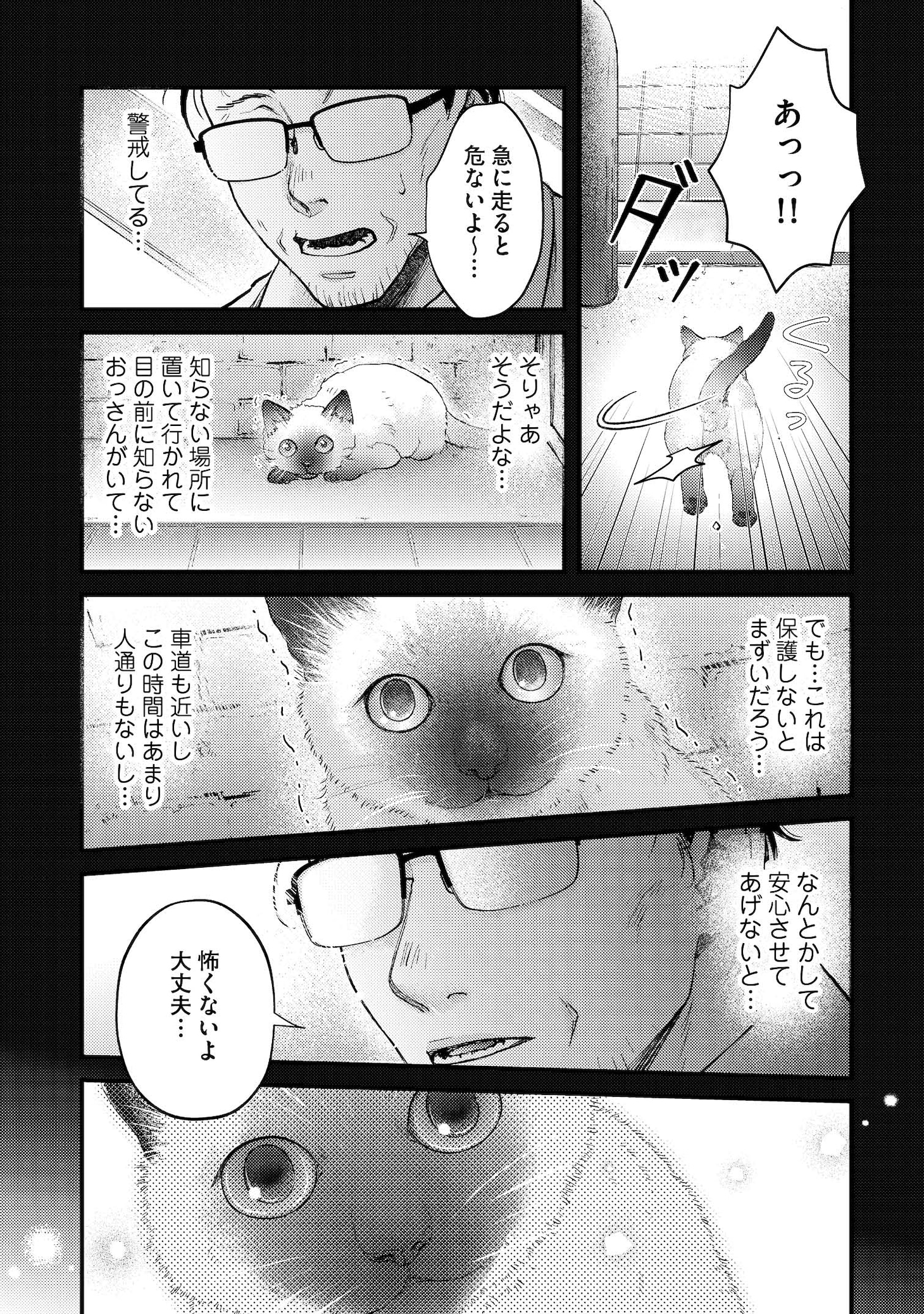 「灰かぶりおじさんと猫王子」より