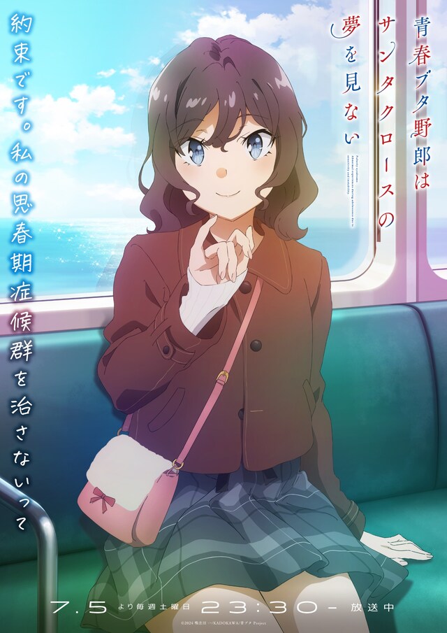 TVアニメ「青春ブタ野郎はサンタクロースの夢を見ない」より「マイスチューデント編」ビジュアル