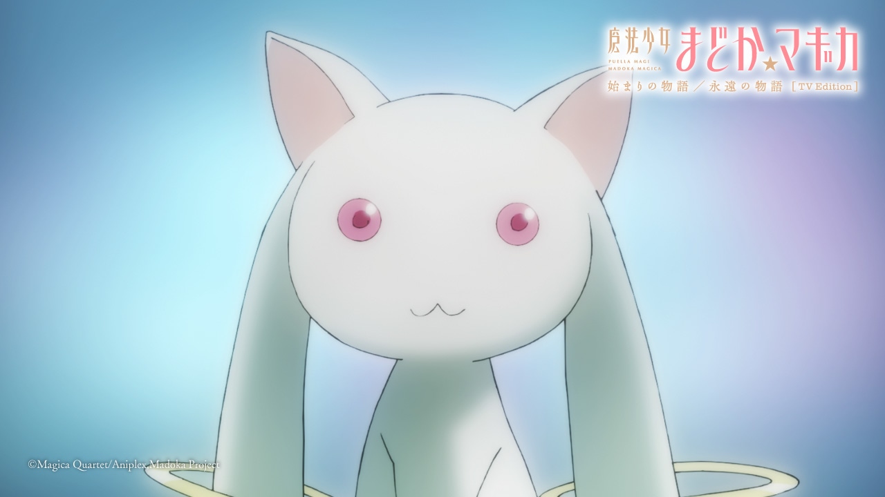 「『魔法少女まどか☆マギカ 始まりの物語／永遠の物語』TV Edition」番宣CMより
