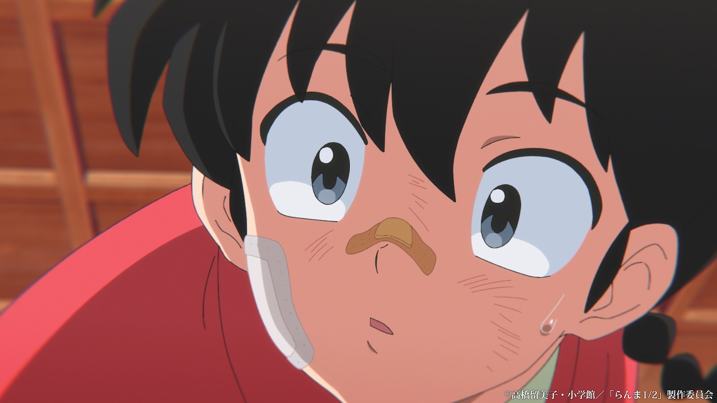 「今からでも間に合う！TVアニメ『らんま1/2』第1期 ダイジェストムービー」より
