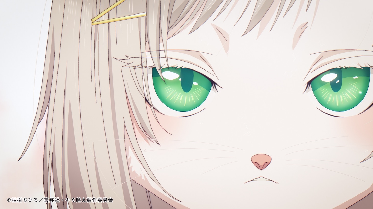 TVアニメ「キミと越えて恋になる」メインPV第2弾の場面カット (c)柚樹ちひろ／集英社・キミ越え製作委員会