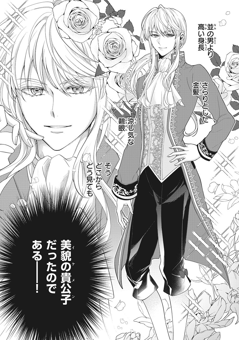 人呼んで、イケメン令嬢。」より - 美貌の令嬢が織りなす、国をまたい